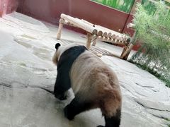 -杭州野生动物世界