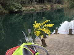 -贵阳市花溪国家城市湿地公园