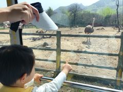 -西安秦岭野生动物园