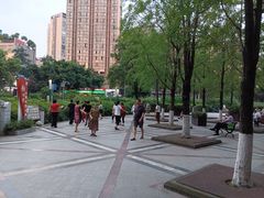 -神仙树公园