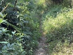 -火炉山森林公园