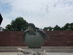 -广东惠东海龟国家级自然保护区