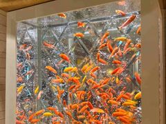 -永利澳门酒店