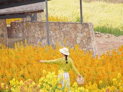 -三圣花乡旅游区