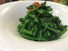 -陇菜和盛祥(金轮宾馆店)
