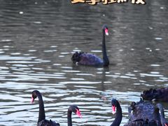 -无锡动物园·太湖欢乐园