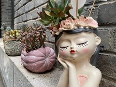 -庐灶江南·江南菜·四合院Bistro(东直门雍和宫·原华侨宾馆店)
