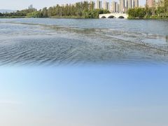 -洋湖国家湿地公园