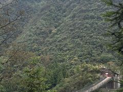 -娄山关景区