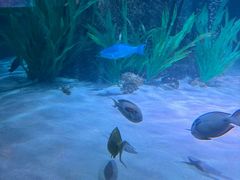 -沈阳海洋探索中心