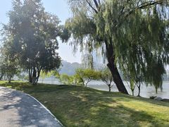 -月湖风景区