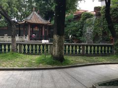 -碧江金楼
