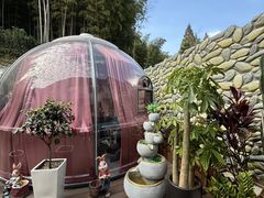 -紫藤园·天目湖大鱼头(南山竹海店)