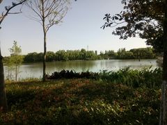 -昆山城市生态森林公园