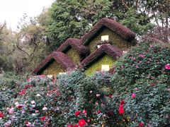 -人民公园(罗湖区)