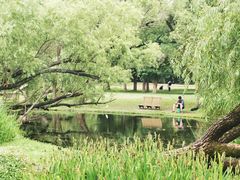 -上海共青森林公园