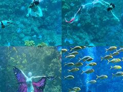 -海合安青岛极地海洋公园
