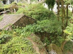 -泽雅七瀑涧景区