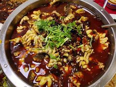 沸腾鱼-蜀膳坊(洪公祠小区店)