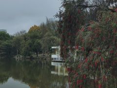 -人民公园(罗湖区)