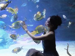 -沈阳海洋探索中心