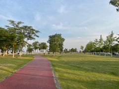 -合肥滨湖国家森林公园