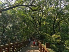 -紫金山索道-售票处