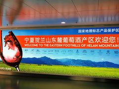 -银川河东国际机场