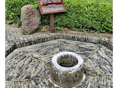 -上海佘山国家森林公园天马山园