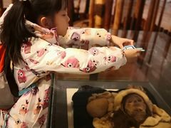 -北京大学赛克勒考古与艺术博物馆