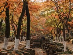 -虞山风景区
