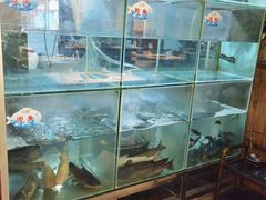 -蛙鱼道美蛙鱼自助火锅(新耍都店)