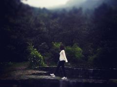 -苍山感通索道