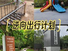 -滴水岩森林公园