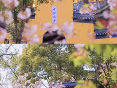 -鸡鸣寺