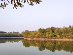 -塘沽森林公园