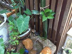 -深圳大旅小舍精品艺术民宿
