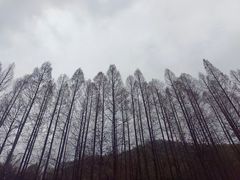 -宋宴(虎跑店)