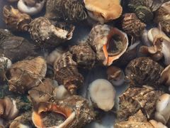 -岚桥锦江大酒店-瑞泰西餐厅