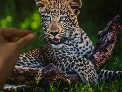 -罗红摄影艺术馆