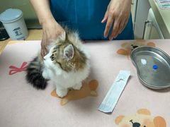-宠颐生中康贝怡动物医院