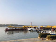 -溱湖国家湿地公园