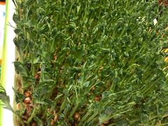 -御京阁·羊蝎子火锅·龙虾·烧烤(合庆店)