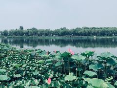 -素心小筑(后沙裕镇店)