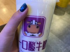 -一只酸奶牛(八一路店)