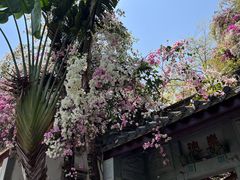 -深圳国际园林花卉博览园