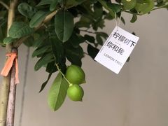 -fishtank鱼缸咖啡(三山街店)