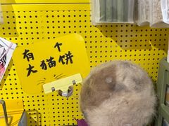 -平行世界·猫咖(首经贸店)