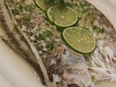 -稻香酒家·35年老字号(侨光店)