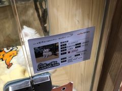 -屋虎猫馆(宝安大仟里店)
